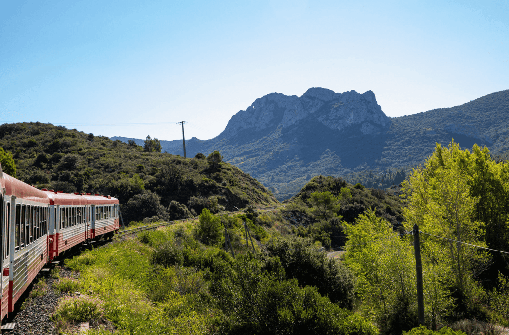 Train rouge : ouverture, prix, durée, accès, tout ce qu'il faut savoir